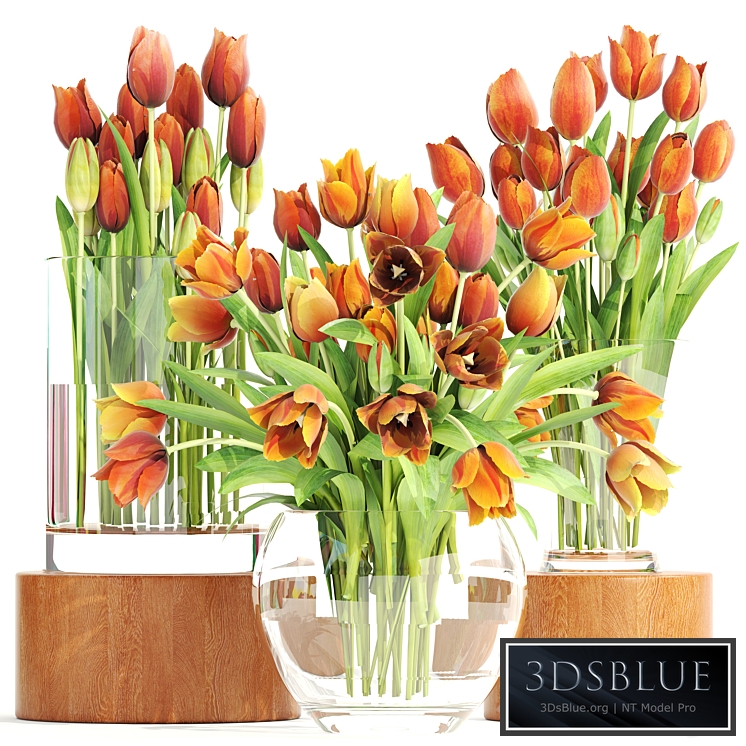 Set of spring bouquets 3. Tulips, flower, orange, vase, spring flowers