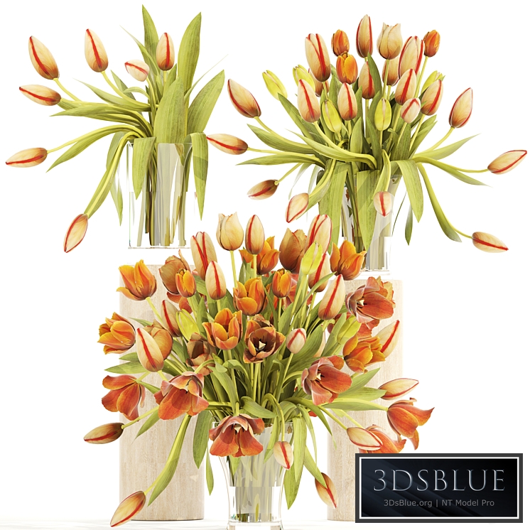 Collection of flowers 4. Tulips, vase, bouquet, flower, set, decor, spring flowers, orange