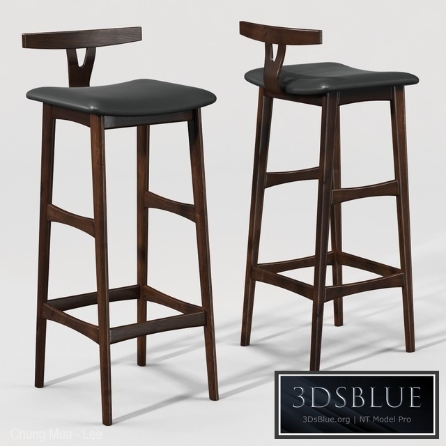 Rosewood and Leather Bar Stool