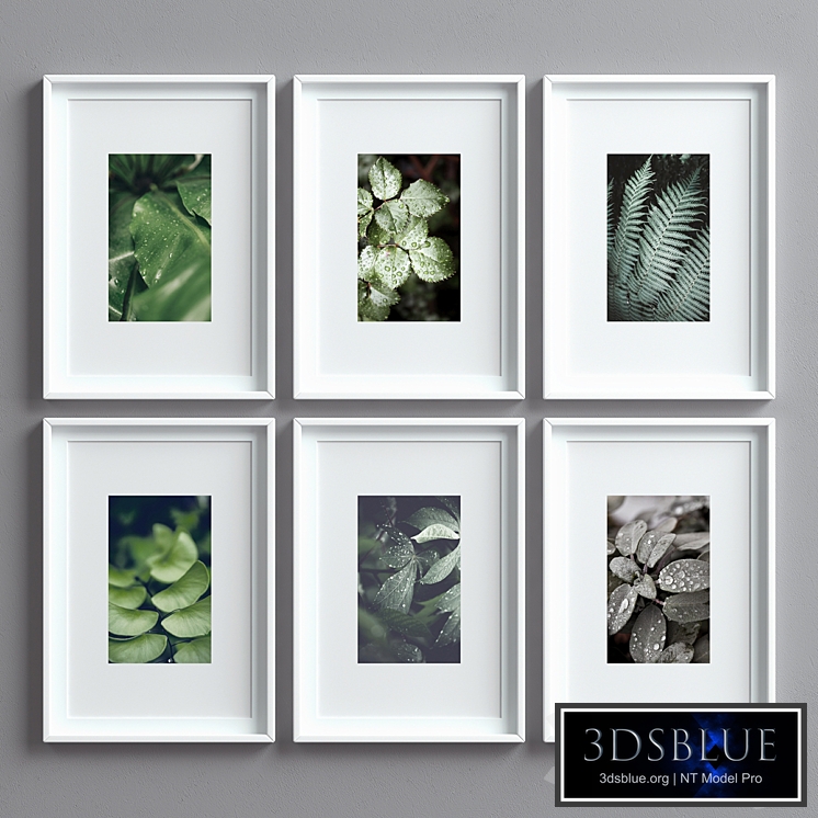 Picture Frames Set -8