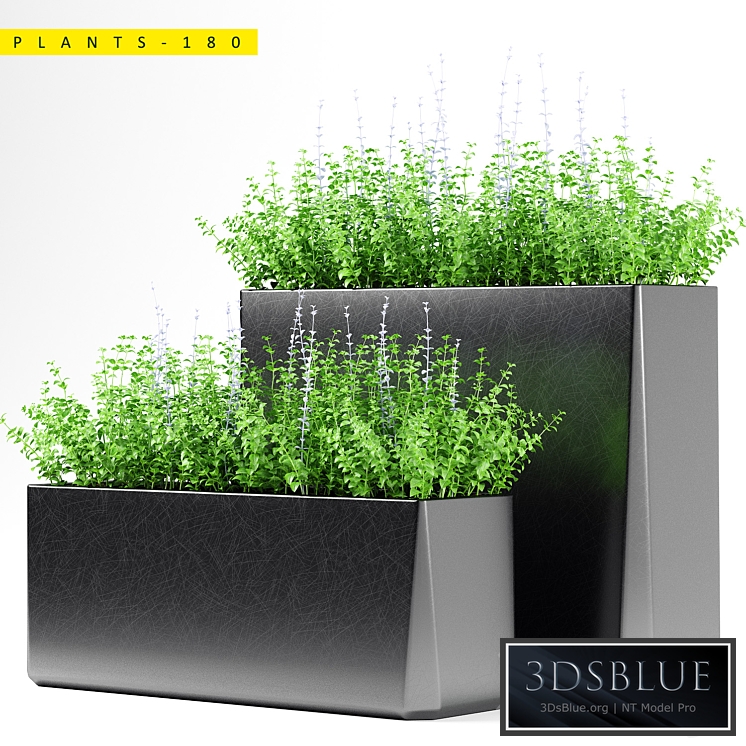PLANTS 180