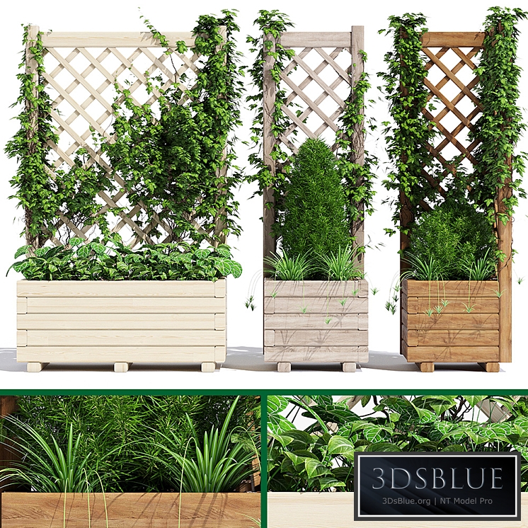 Planter with trellis