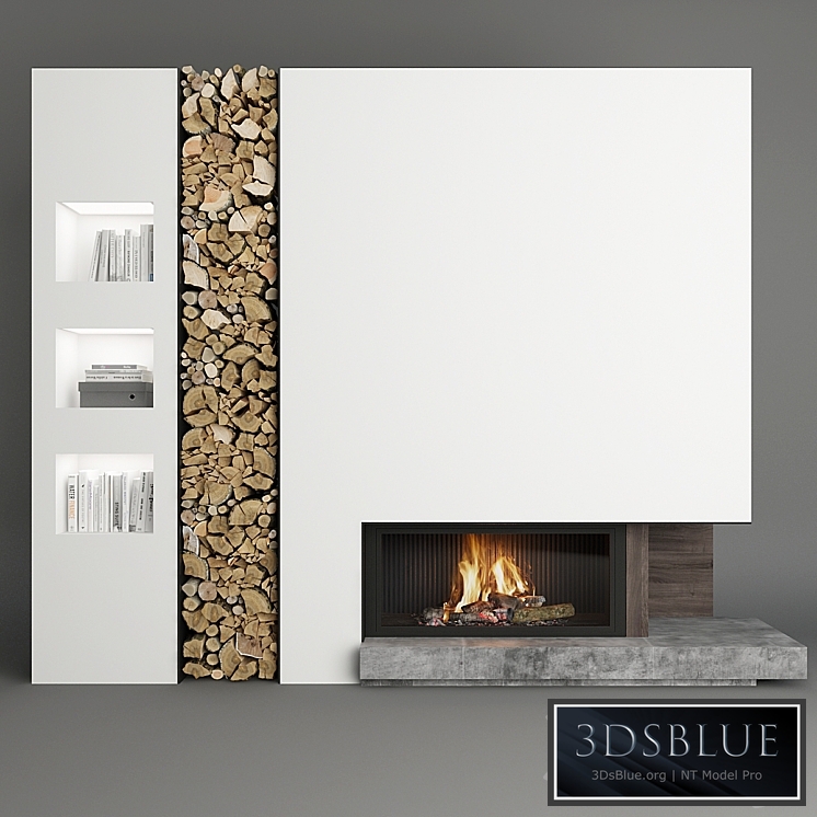 Fireplace and firewood_6