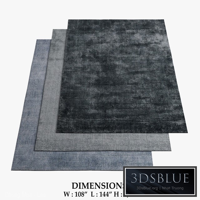 Restoration Hardware Rugs_72