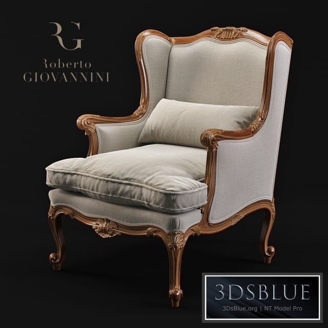Armchair Roberto Giovannini 1009