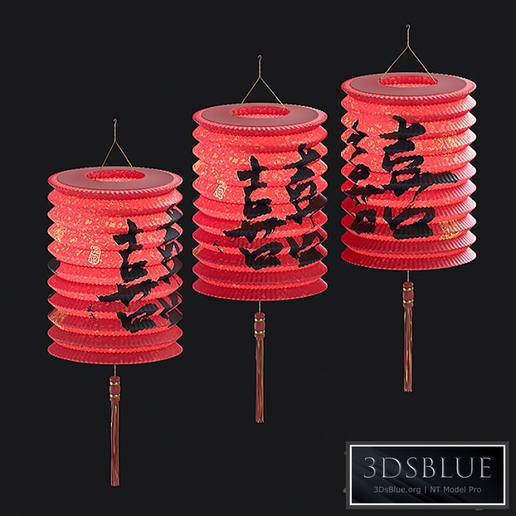 Chinese lantern 2 Chinese Lantern 2