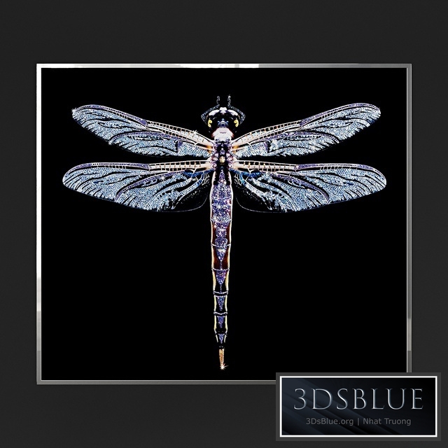 IPE CAVALLI VISIONNAIRE Lybra