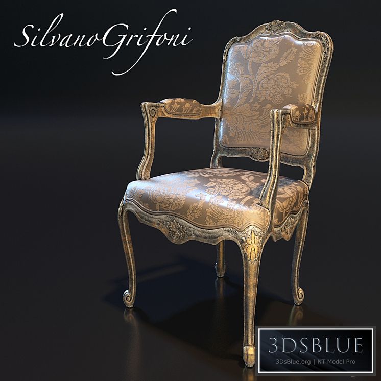 Chair Silvano Grifoni