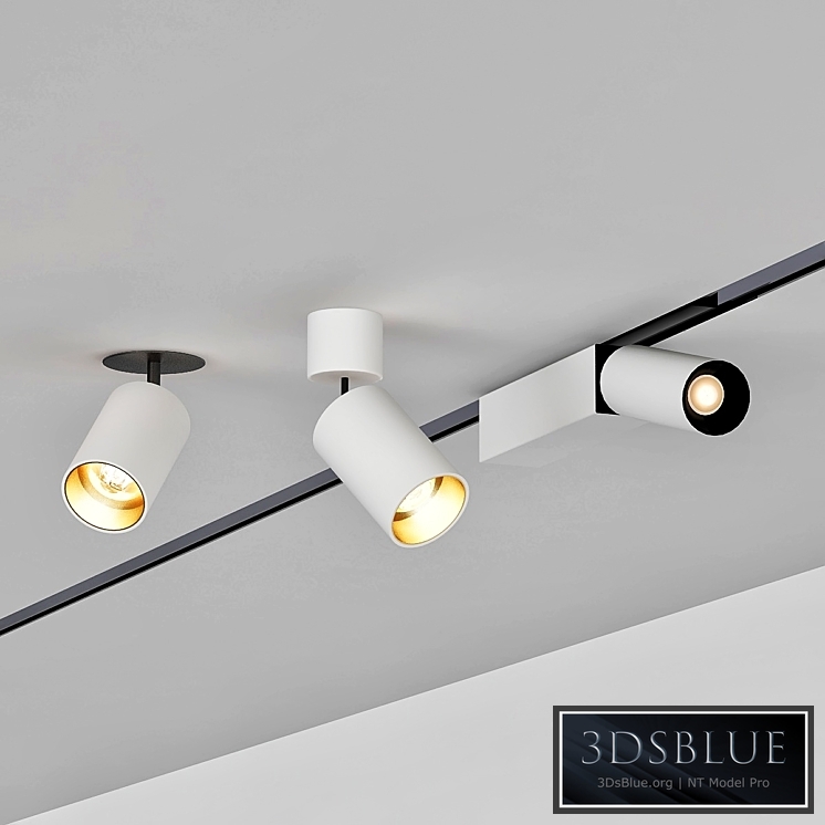 Ceiling Lamps CENTRSVET_3