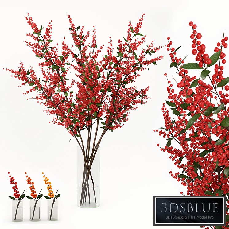 Branches in the vase 004