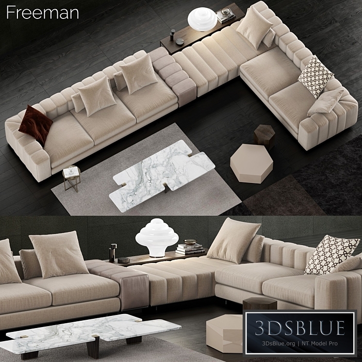 Minotti Freeman Sofa