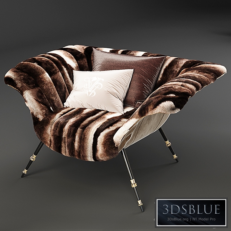 Visionnaire Vanity Fair