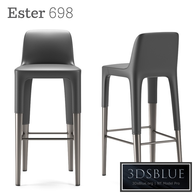Ester 698