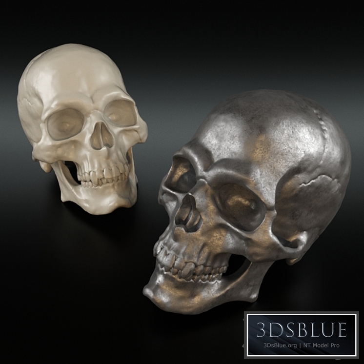 Christopher Guy Decorative Skull