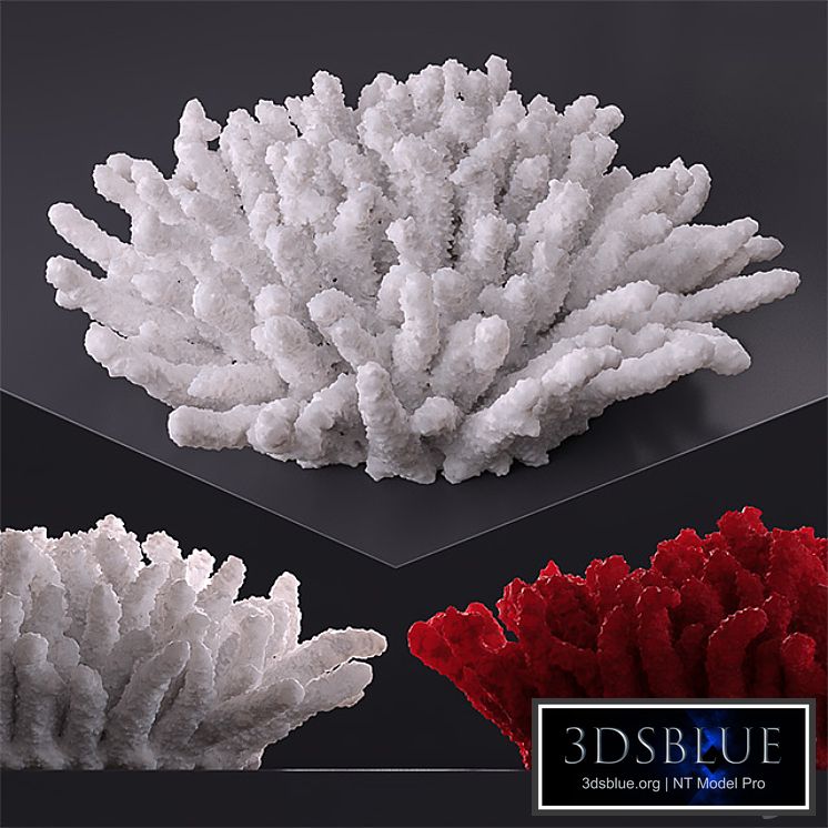 Decorative coral