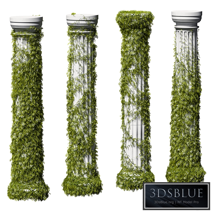 Leaves on a Doric column. 4 models