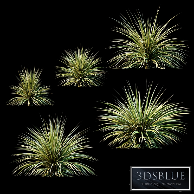 Plants for Exterior v2