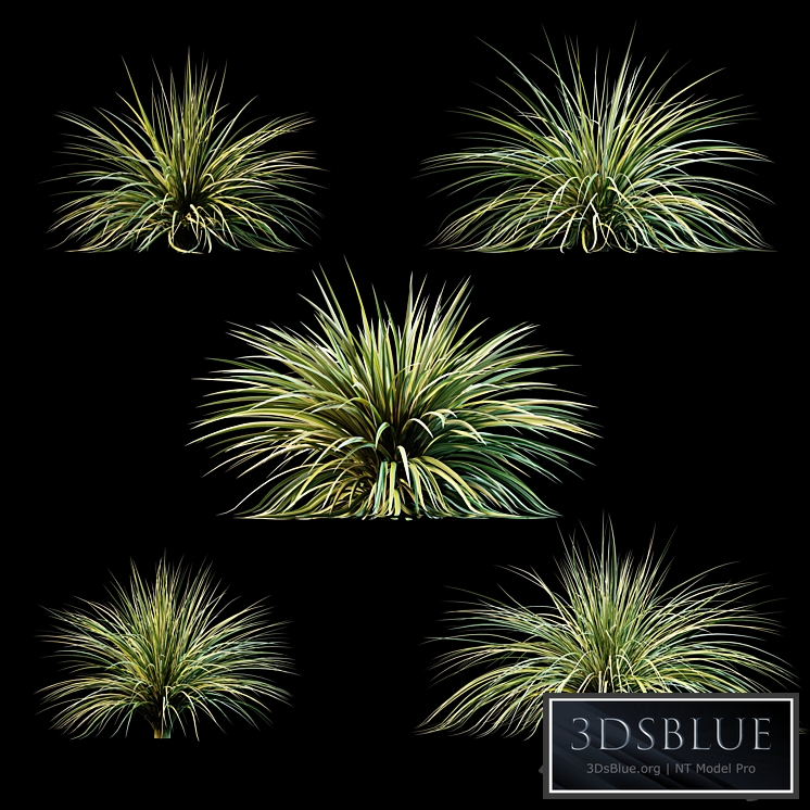 Plants for exterior v3