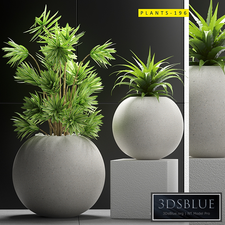 PLANTS 196
