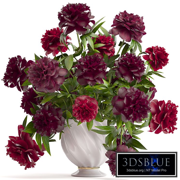 Bouquet of peonies. 38. Peonies, Bouquet of Peonies, vase, decor, burgundy flowers, classic vase