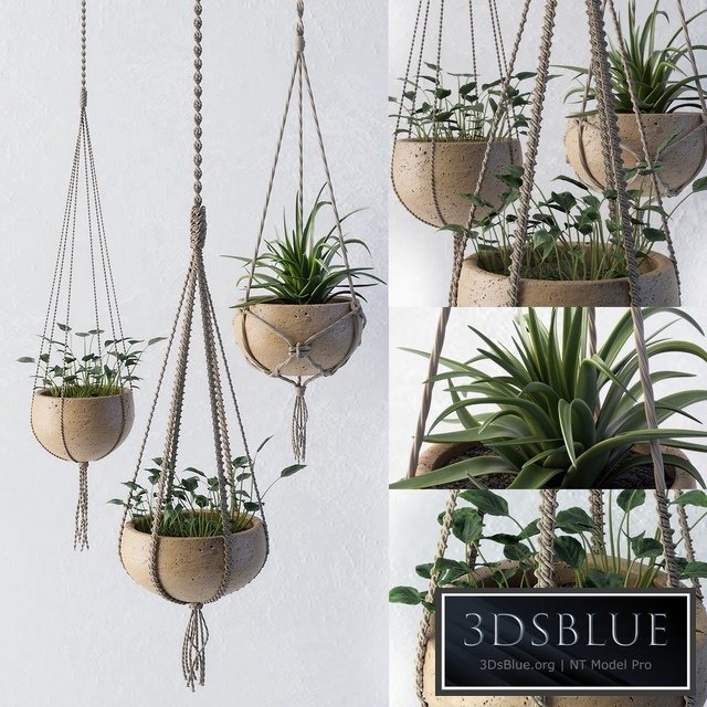 Decorative set of flower pots