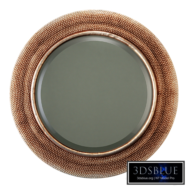 Howard Elliott Collection yukon champagne silver mirror