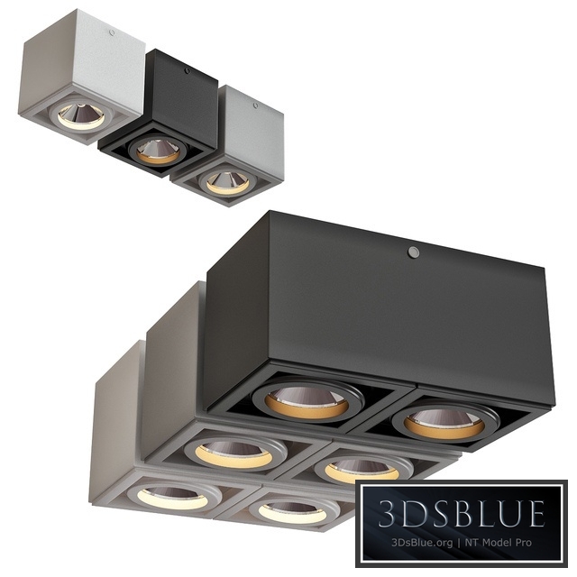 Ceiling Lamps CENTRSVET_29A