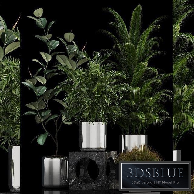 Plants collection 106