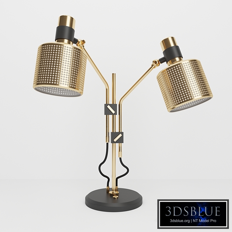 Bert Frank Riddle Double Table Light