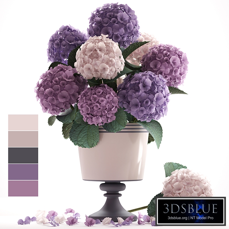 Collection of flowers 55. Hydrangea, blue flowers, flower, vase, branch