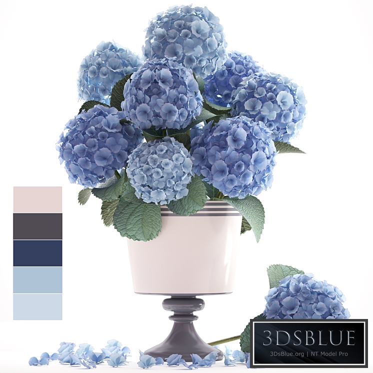 Collection of flowers 56. Hydrangea, blue flowers, flower, vase, branch