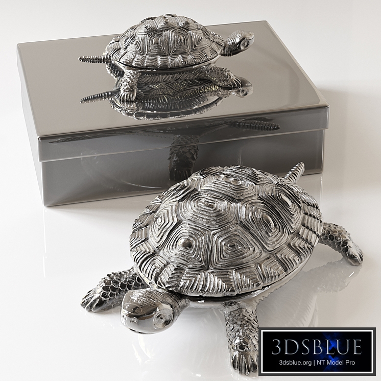 EICHHOLTZ Box Tortoise M