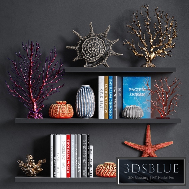 Decorative set with coral v2