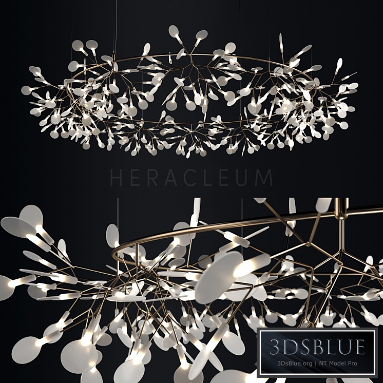 Chandelier Moooi Heracleum the Big O