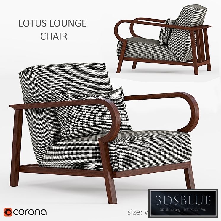 Lotus Costantini pietro_9290L