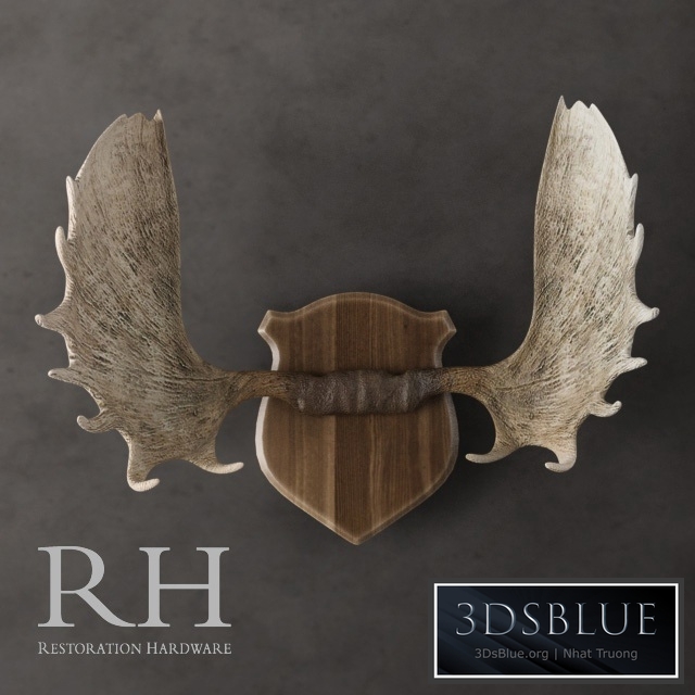 Restoration Hardware - Moose Antlers in Cast Resin