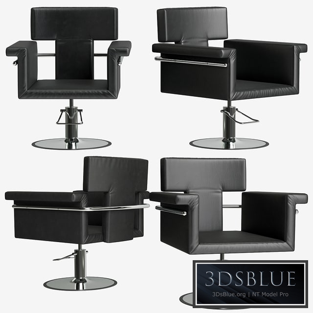 Nicole_chair (Nicole hairdresser&#39;s armchair)