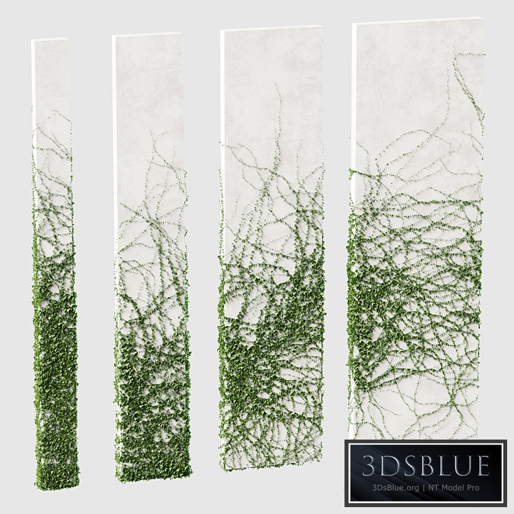 Ivy for rectangular columns. 4 models