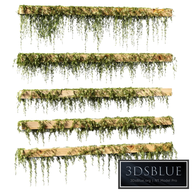 Leaves for beams v2. 5 models