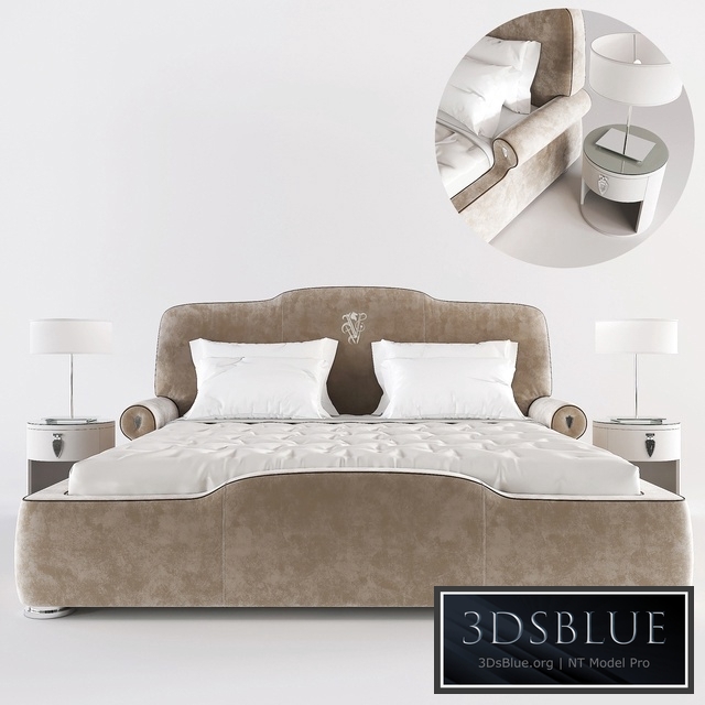 Visionnaire Diplomate