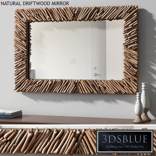Pottery barn NATURAL DRIFTWOOD MIRROR