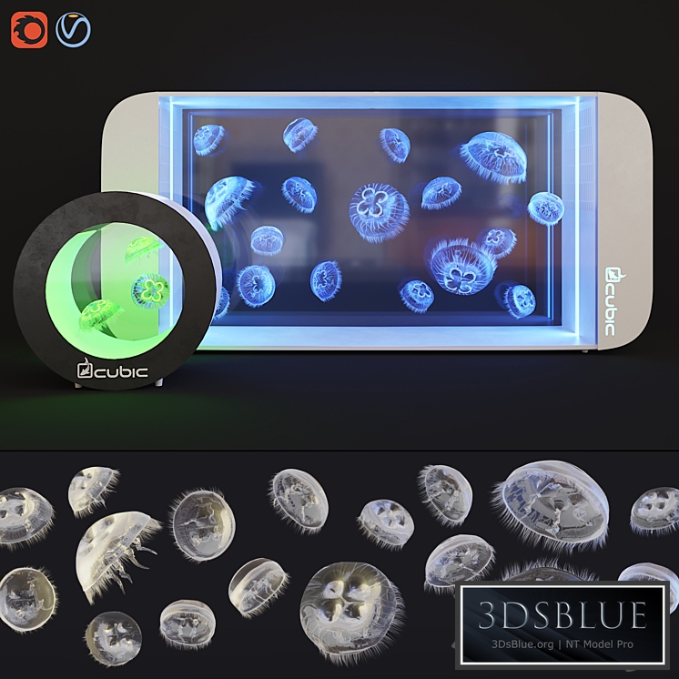 Aquarium for jellyfish Pulse 160/20