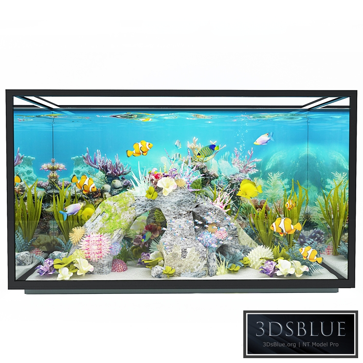 new modern aquarium