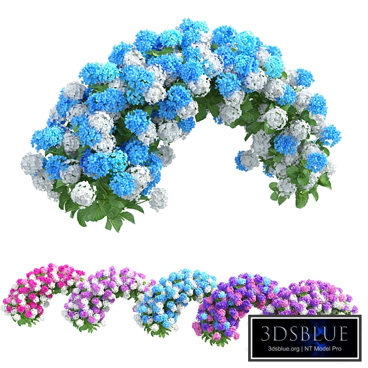 Plants Hydrangea set 05