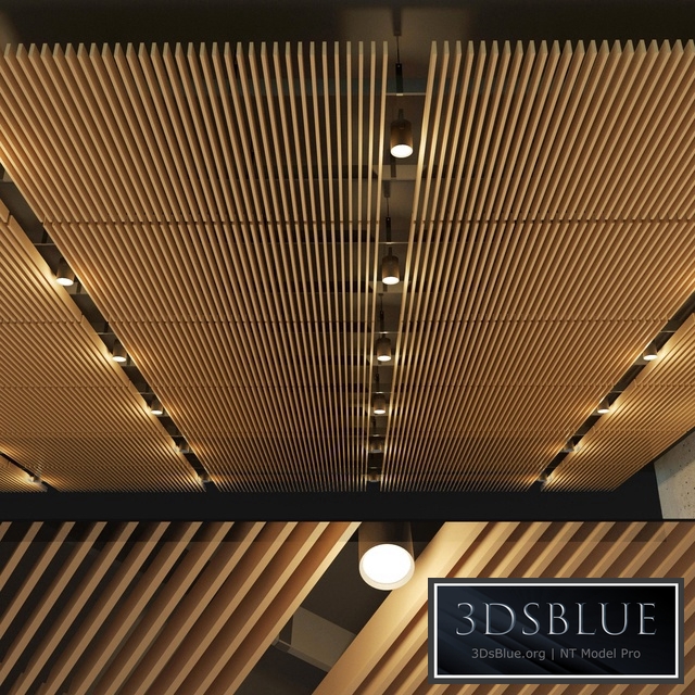 Suspended ceiling rack. 14