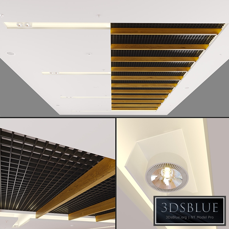 Modern Ceiling