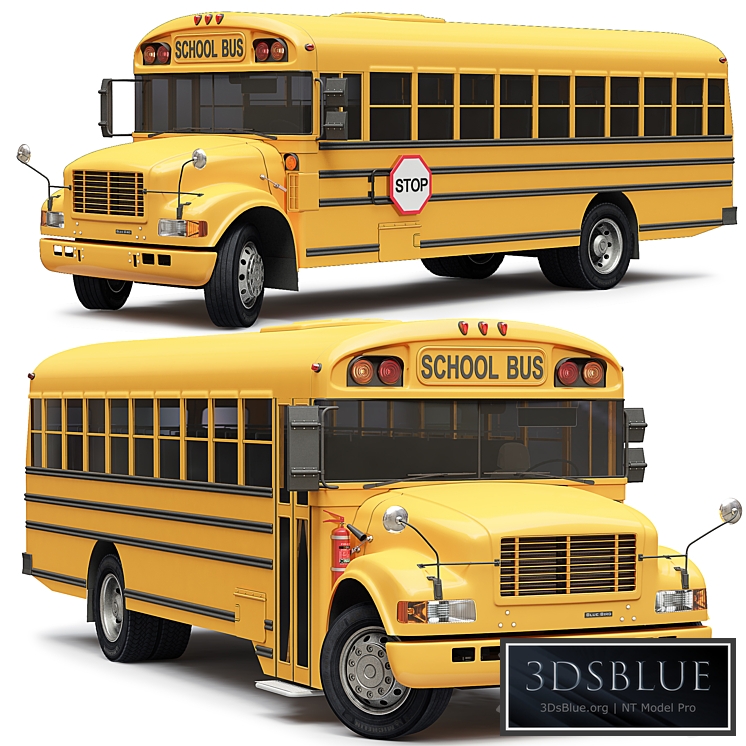 School Bus Blue Bird