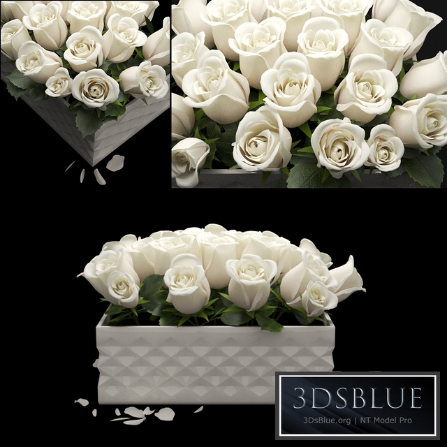 white flowerbox