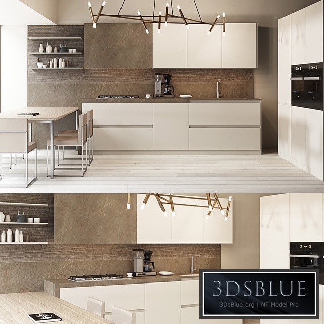 Aster CONTEMPORA composition 1