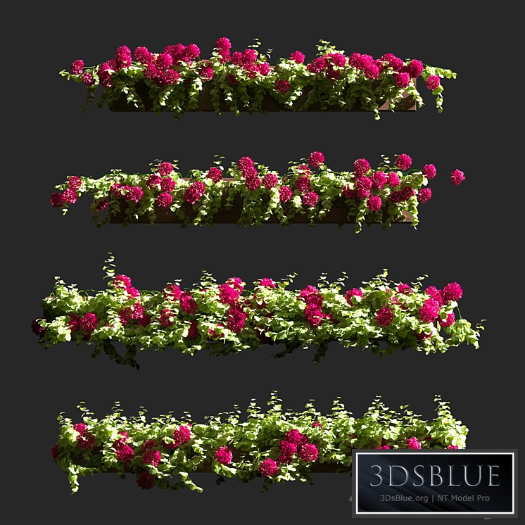 Plant Geranium Facade v2